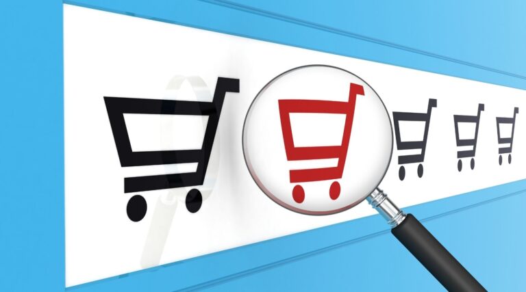 How Ecommerce Search Engine Optimization Services Drive